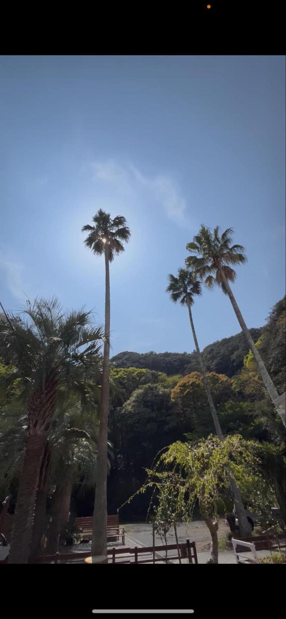 The Surf Lodge White Beach Shimoda  Esterno foto